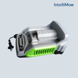 Schnellladegerät CH5500E Ego Power Tools 550 Watt